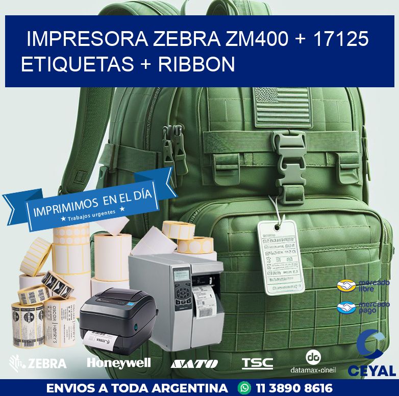 impresora zebra zm400 + 17125 etiquetas + ribbon