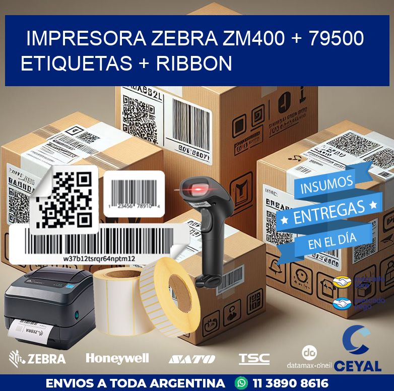 impresora zebra zm400 + 79500 etiquetas + ribbon