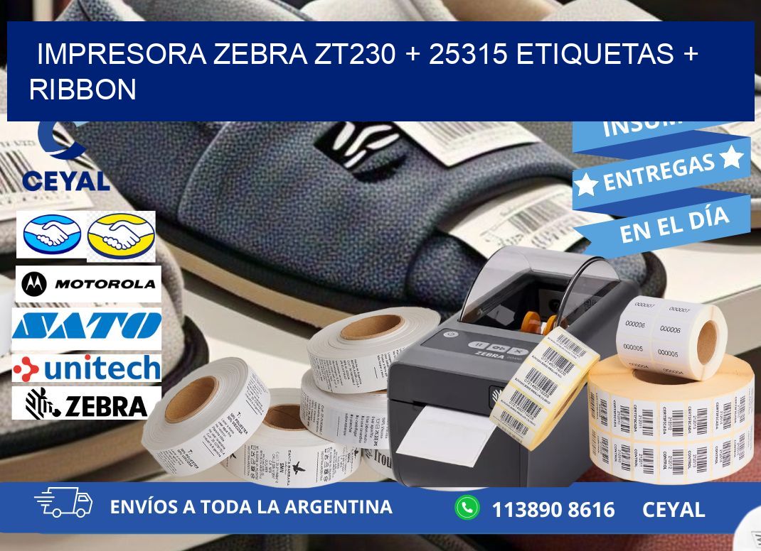 impresora zebra zt230 + 25315 etiquetas + ribbon