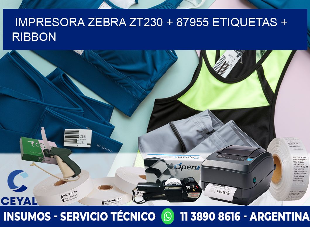 impresora zebra zt230 + 87955 etiquetas + ribbon