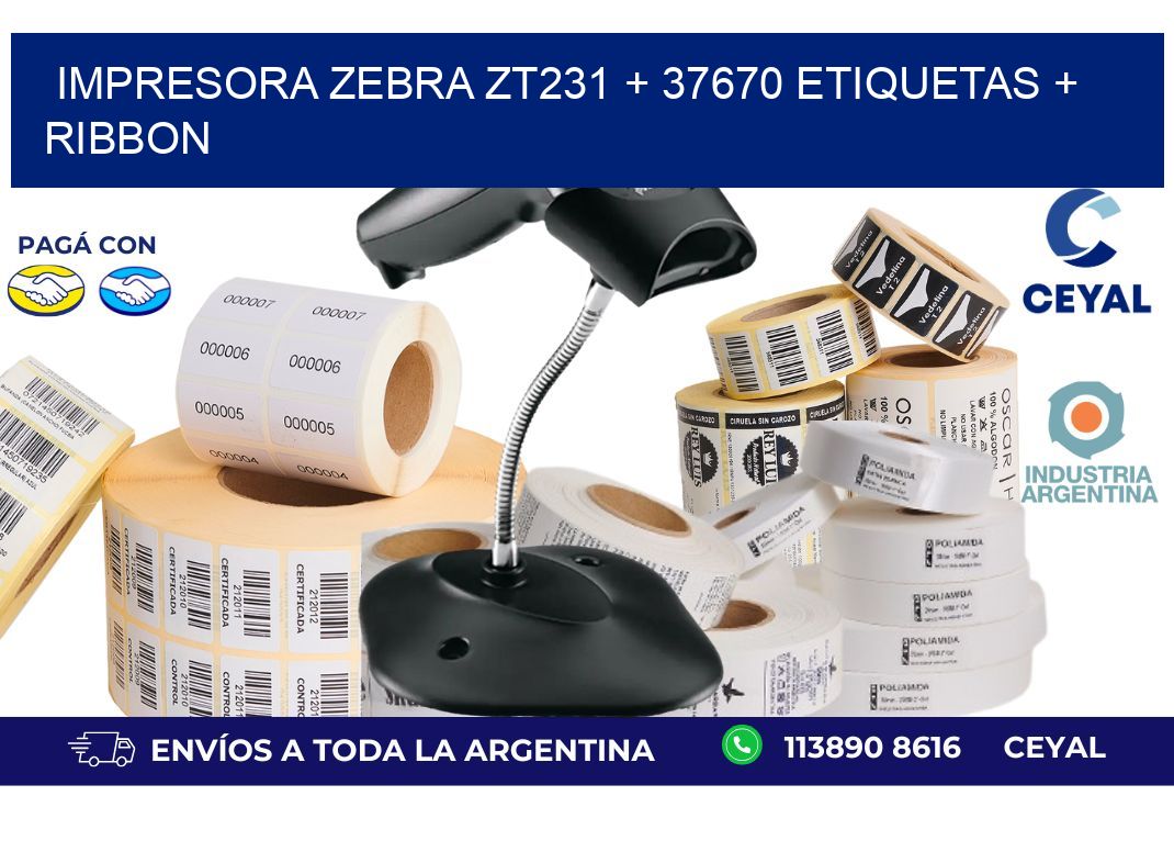 impresora zebra zt231 + 37670 etiquetas + ribbon