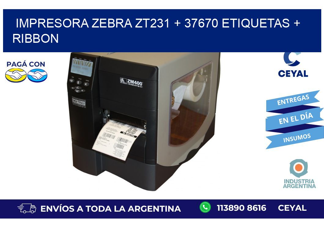 impresora zebra zt231 + 37670 etiquetas + ribbon