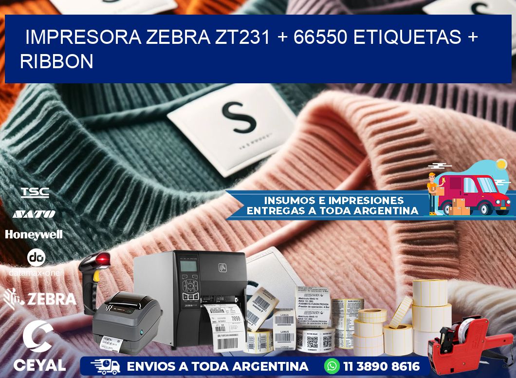impresora zebra zt231 + 66550 etiquetas + ribbon