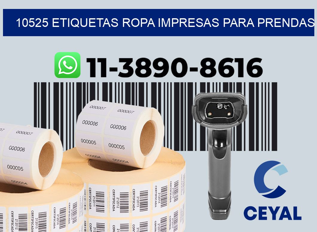 10525 Etiquetas ropa impresas para prendas