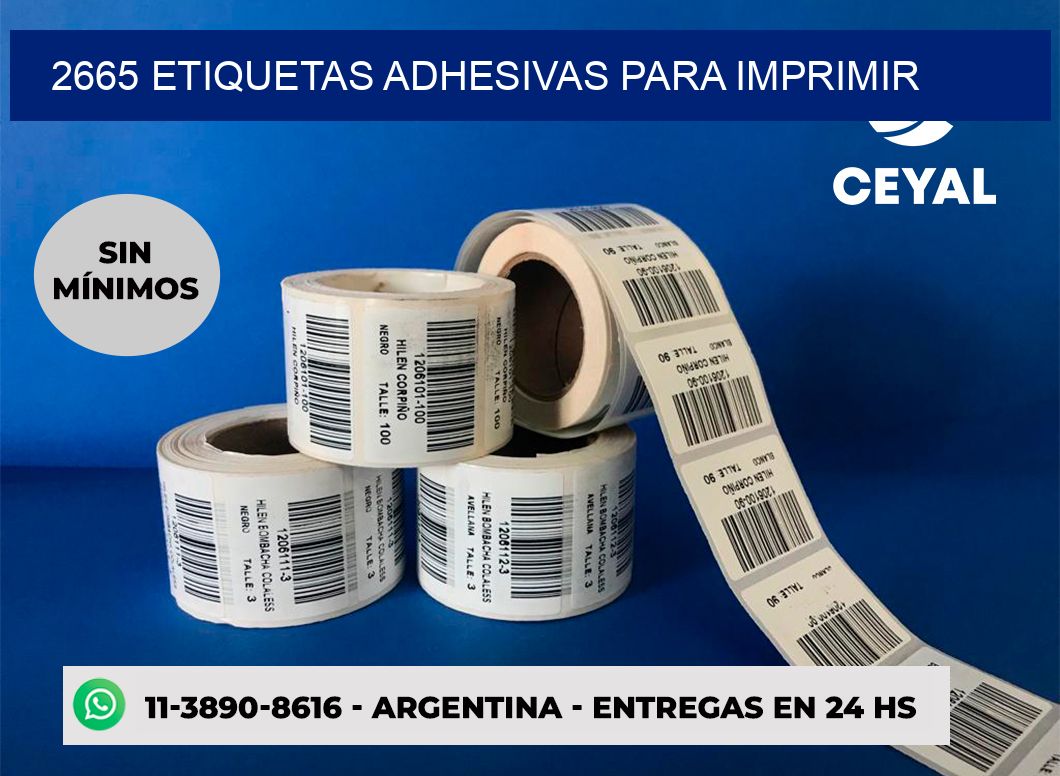 2665 etiquetas adhesivas para imprimir