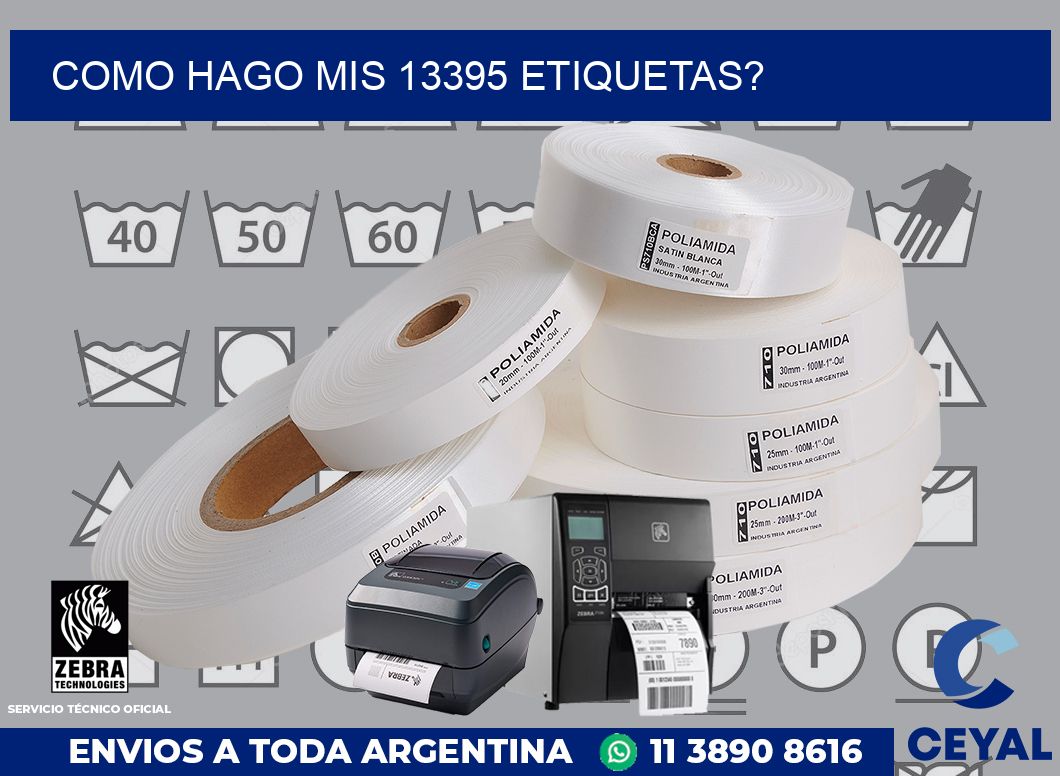 como hago mis 13395 etiquetas?