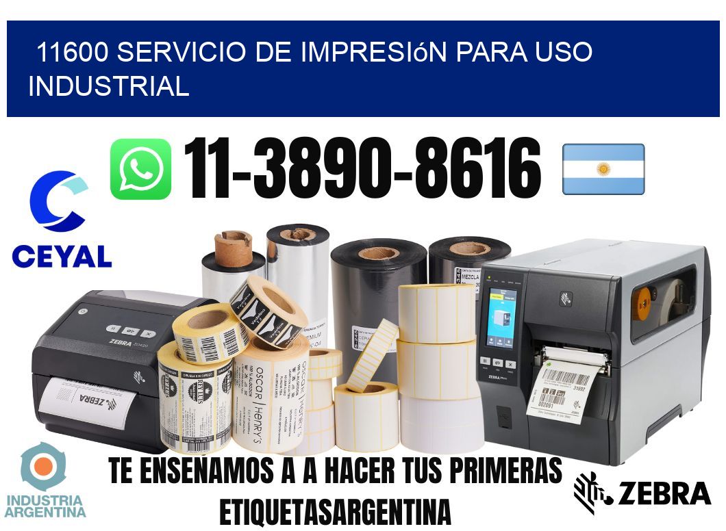 11600 Servicio de impresión para uso industrial