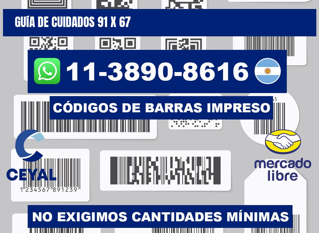 Guía de cuidados 91 x 67