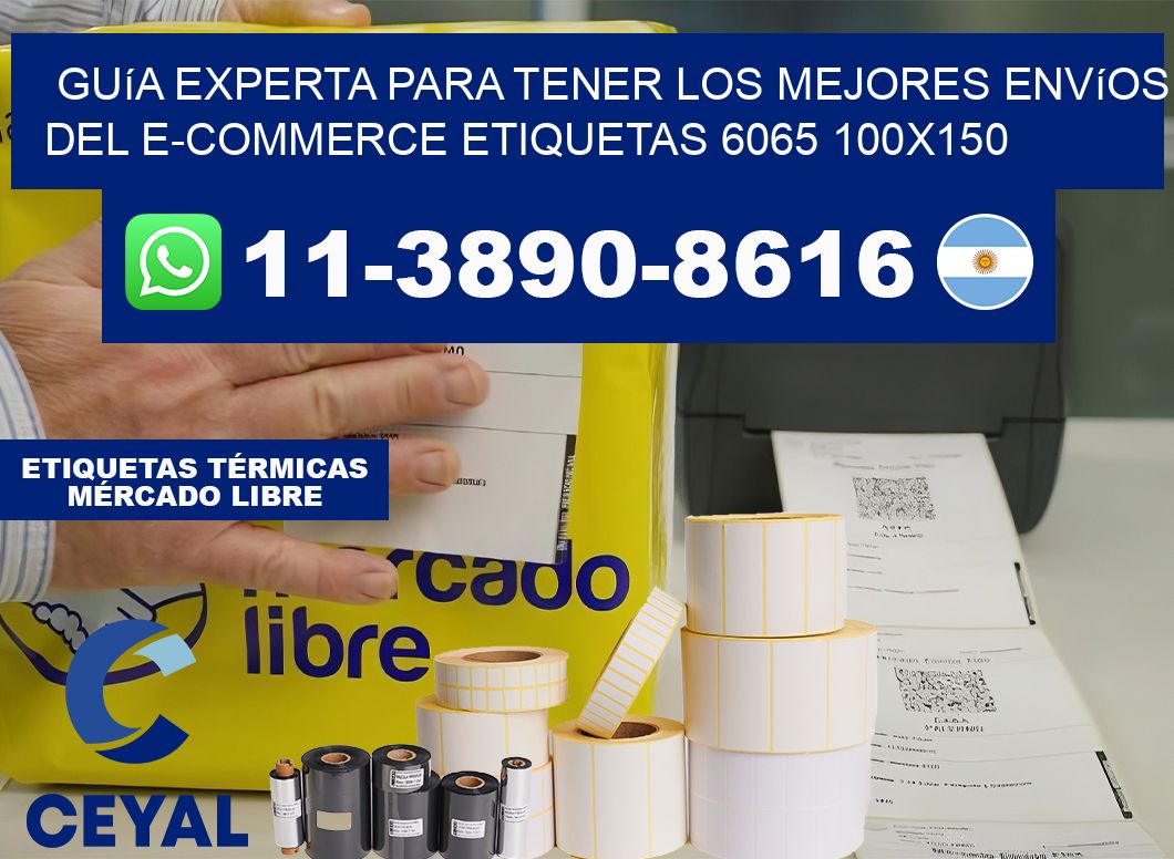 Guía experta para tener los mejores envíos del e-commerce etiquetas 6065 100×150
