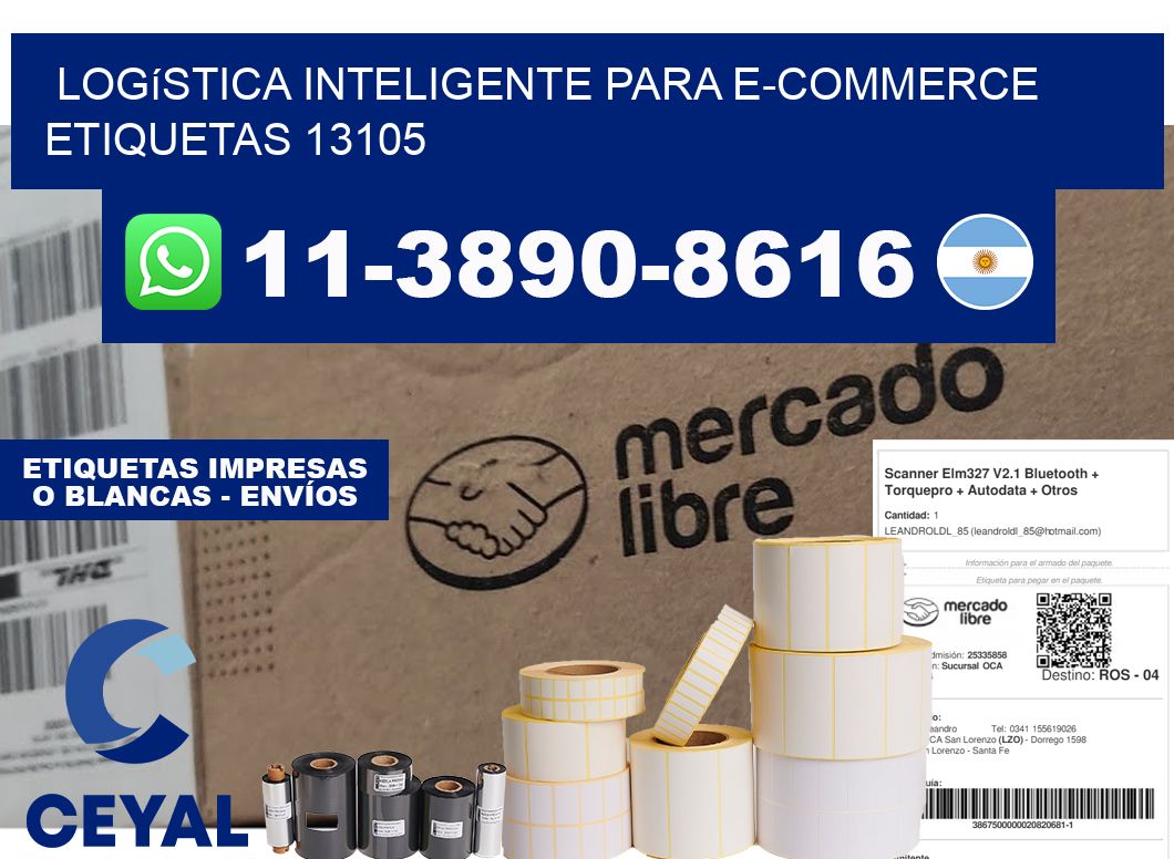 Logística inteligente para e-commerce  etiquetas 13105