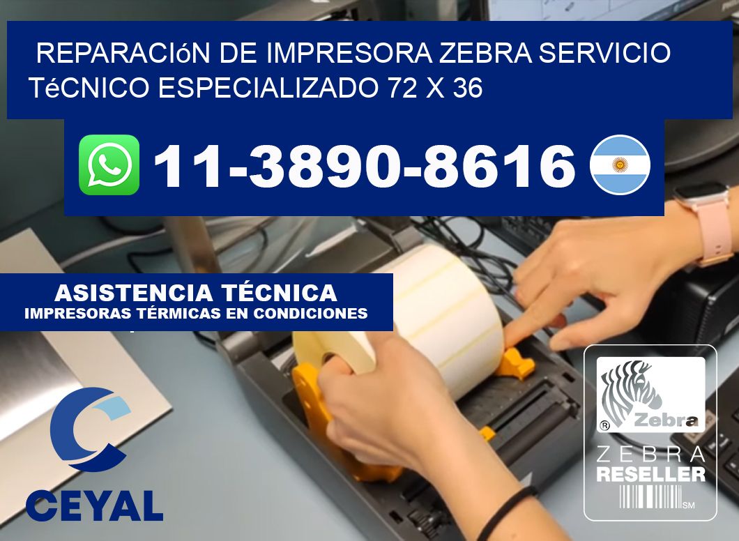 Reparación de Impresora Zebra Servicio Técnico Especializado 72 x 36