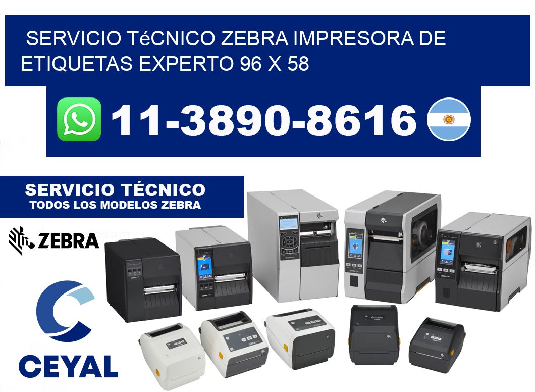 Servicio Técnico Zebra Impresora de Etiquetas Experto 96 x 58