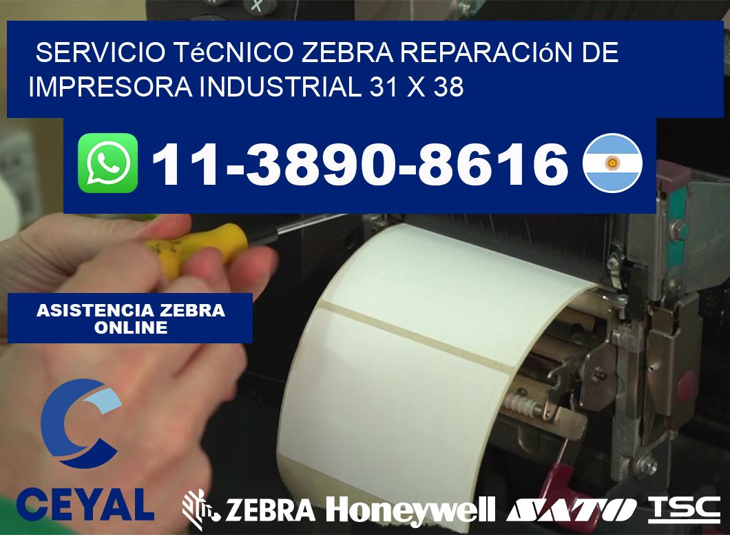 Servicio Técnico Zebra Reparación de Impresora Industrial 31 x 38