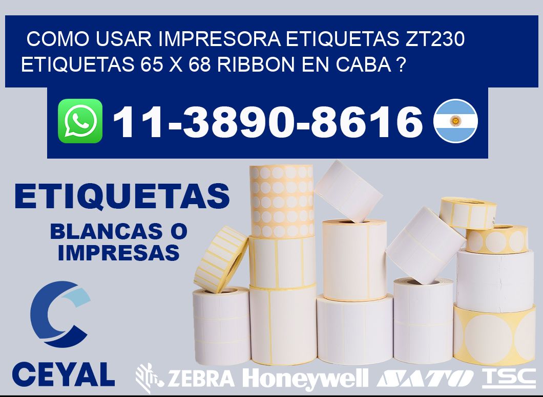 como usar impresora etiquetas zt230 etiquetas 65 x 68 ribbon en CABA ?
