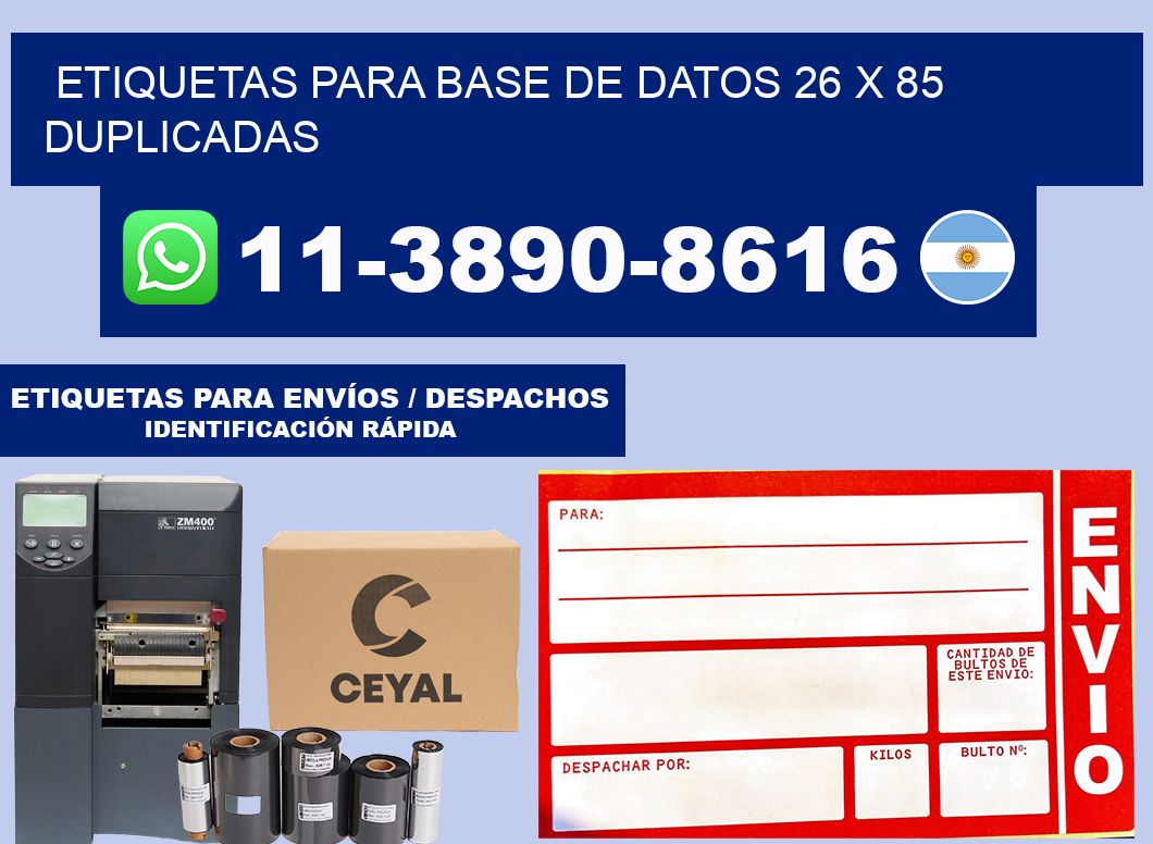 etiquetas para base de datos 26 x 85 duplicadas