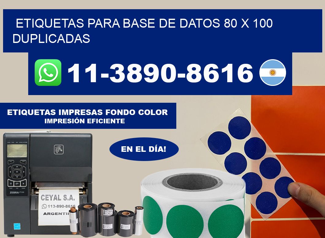 etiquetas para base de datos 80 x 100 duplicadas