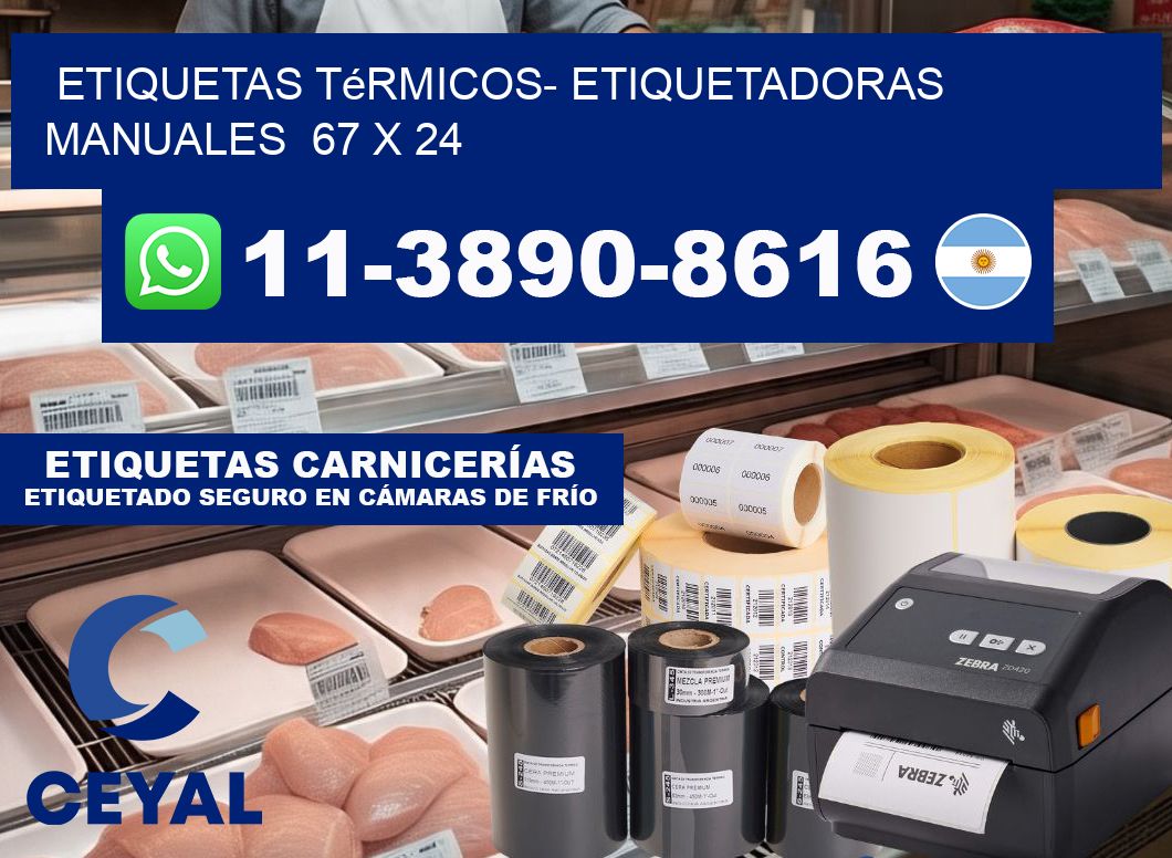 etiquetas térmicos- Etiquetadoras Manuales 67 x 24