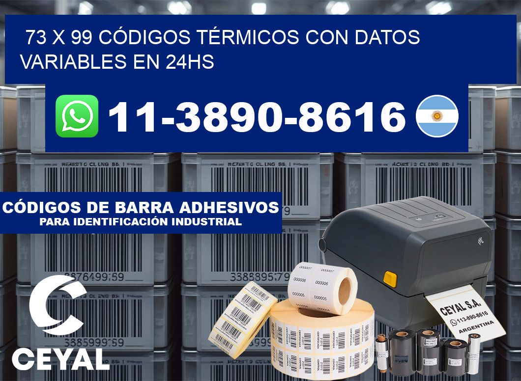 73 x 99 CÓDIGOS TÉRMICOS CON DATOS VARIABLES EN 24HS