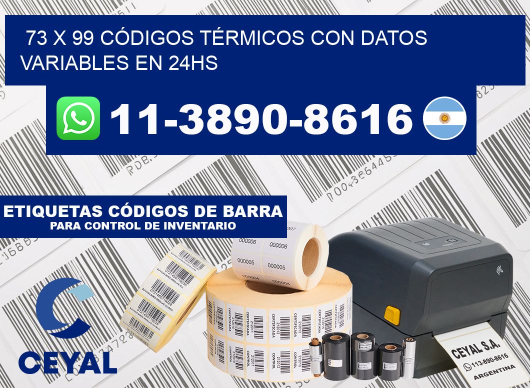 73 x 99 CÓDIGOS TÉRMICOS CON DATOS VARIABLES EN 24HS