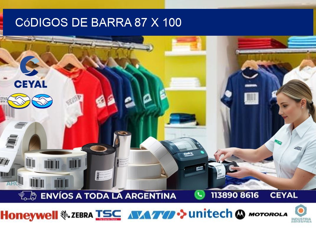 códigos de barra 87 x 100