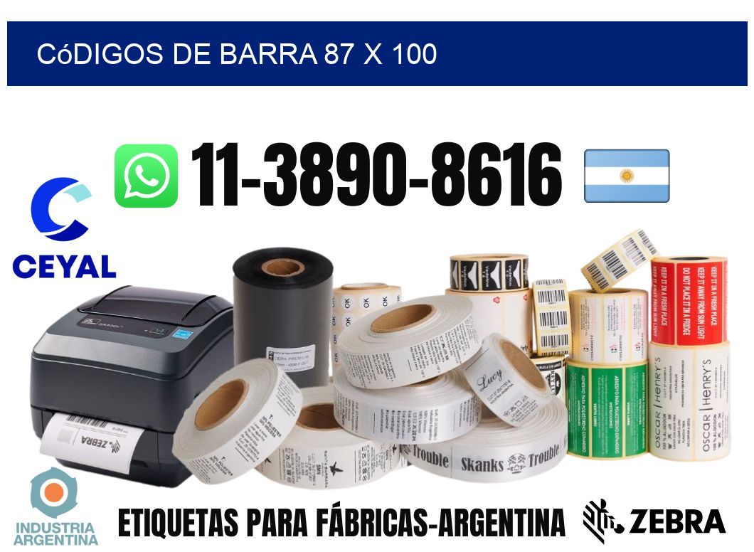 códigos de barra 87 x 100