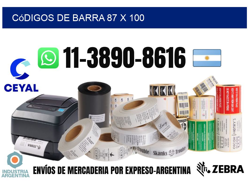 códigos de barra 87 x 100