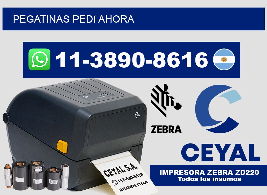 PEGATINAS Pedí ahora