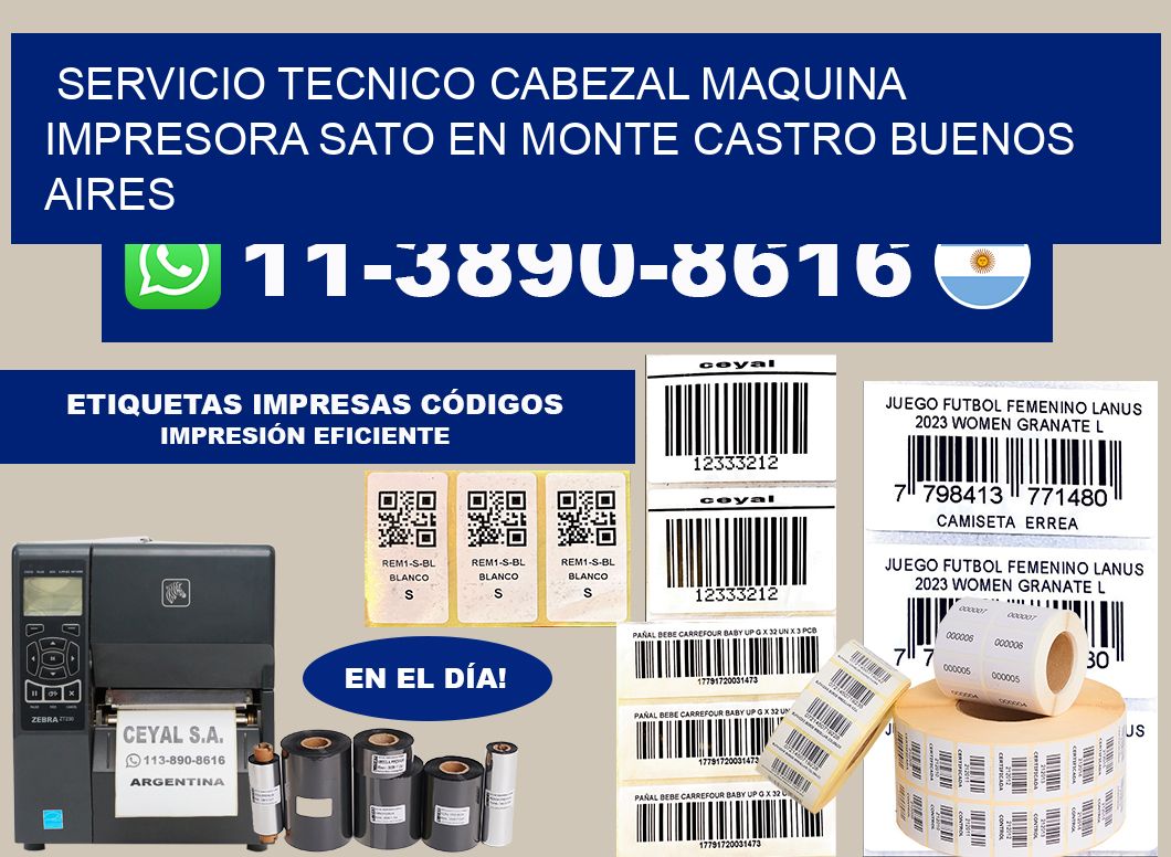servicio tecnico cabezal Maquina impresora Sato en Monte Castro Buenos Aires