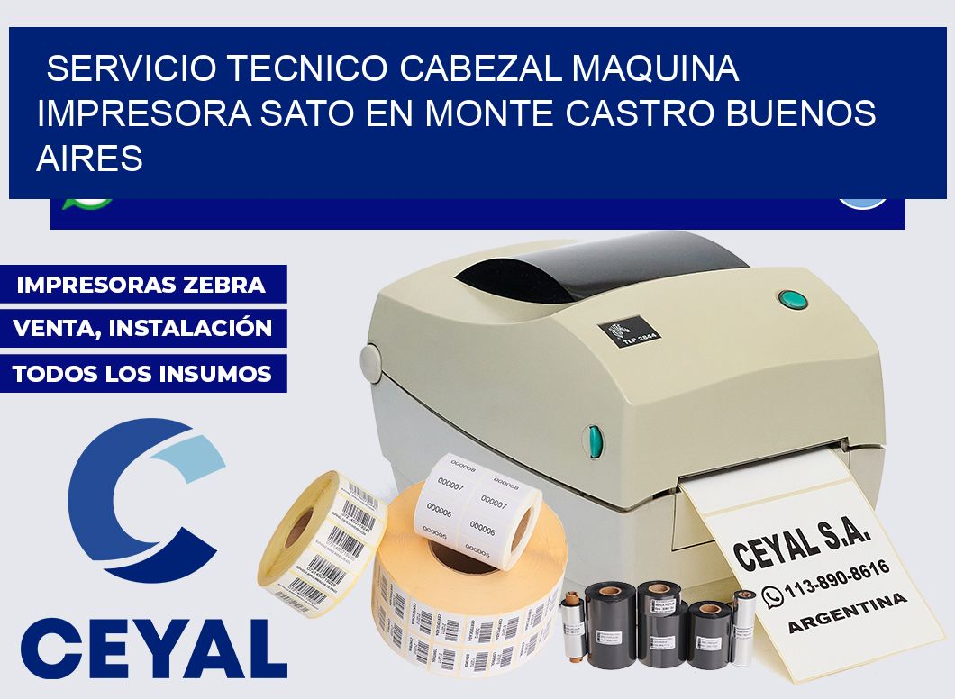 servicio tecnico cabezal Maquina impresora Sato en Monte Castro Buenos Aires